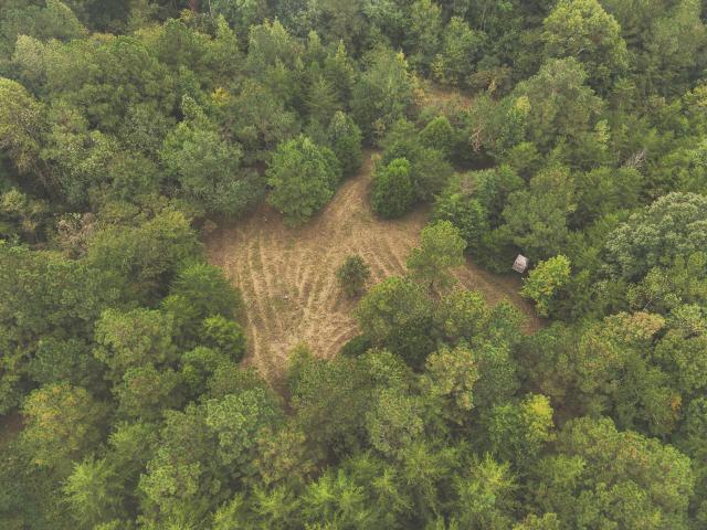 Land for sale in Charleston, East Tennessee