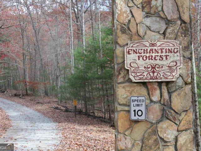 Land for sale in Morganton, Georgia