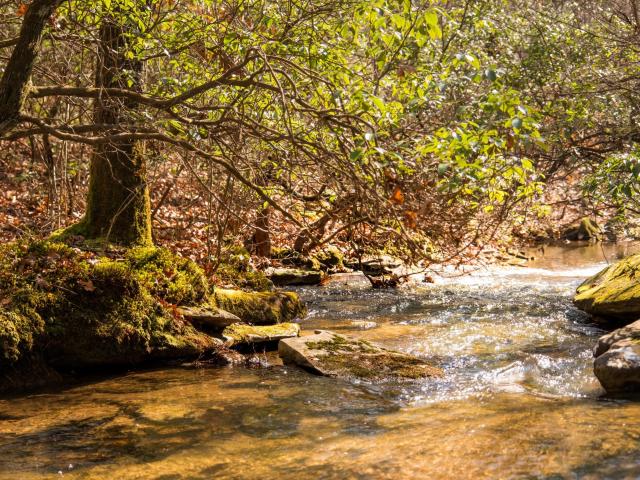 Land for sale in Tennessee