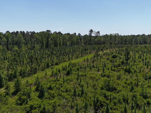 Land for sale in Vidalia, Georgia