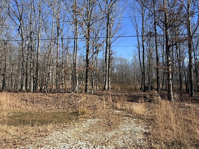 Property for sale in Tennessee