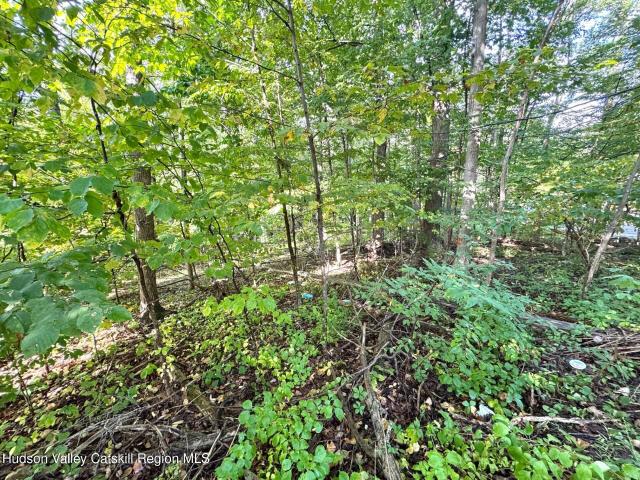 Land for sale in Olive, New York