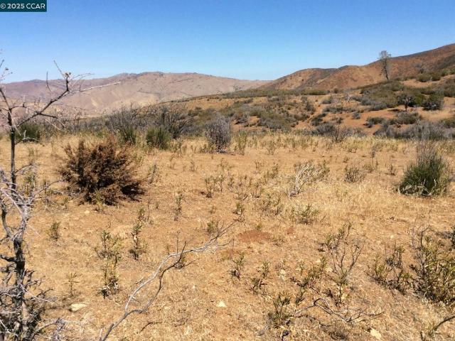 Land for sale in Patterson, California