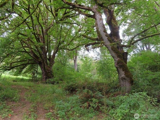 Land for sale in Mossyrock, Washington