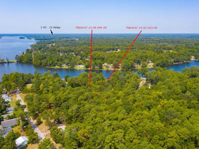 Land for sale in Manning, Clarendon County
