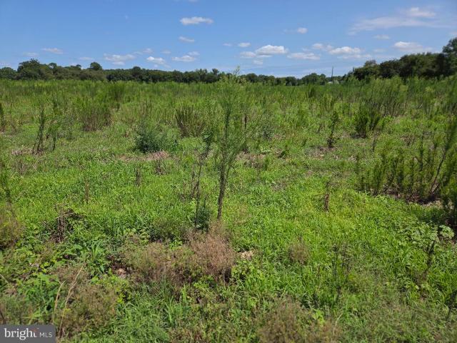 Land for sale in Pittsville, Wicomico County
