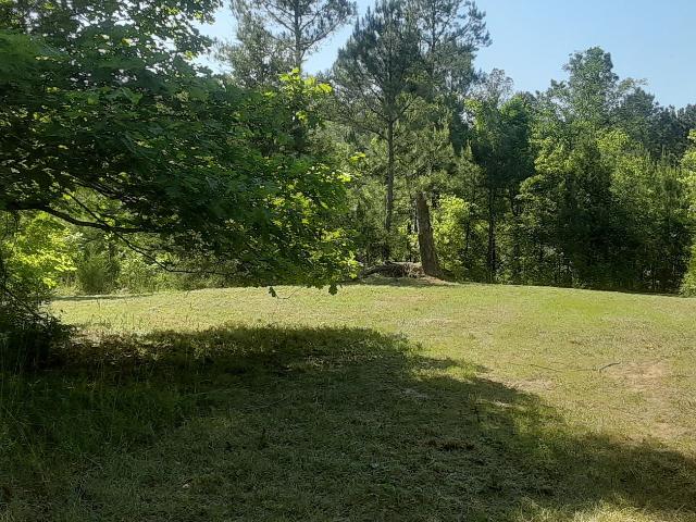 Land for sale in Tignall, Georgia