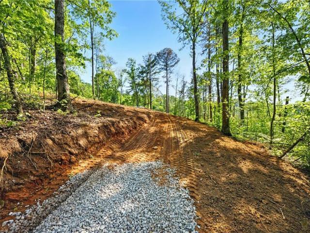 Land for sale in Pickens, Georgia