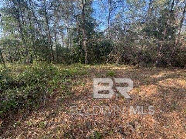 Land for sale in Bay Minette, Alabama