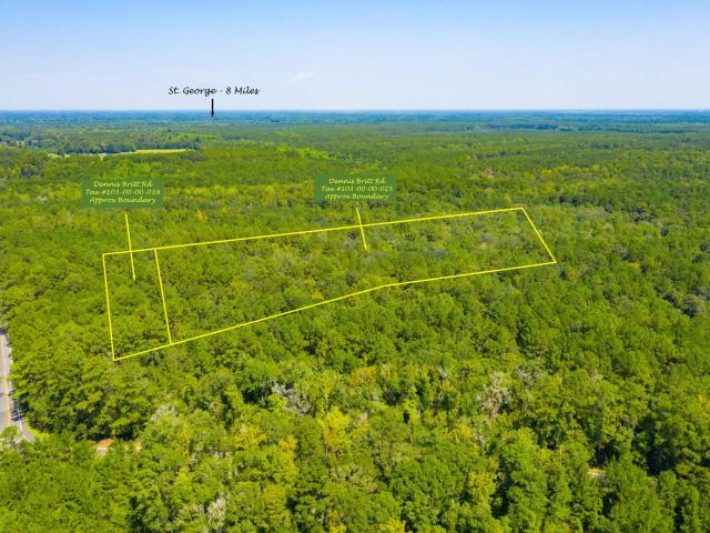 Land for sale in Saint George, South Carolina