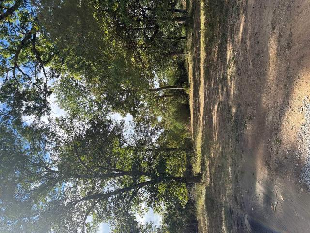 Land for sale in Russellville, Logan County