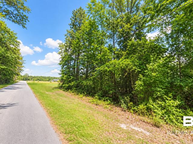 Land for sale in Mobile County Commission District 1, Mount Vernon