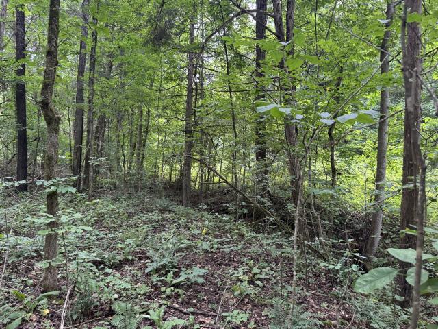 Land for sale in Tennessee