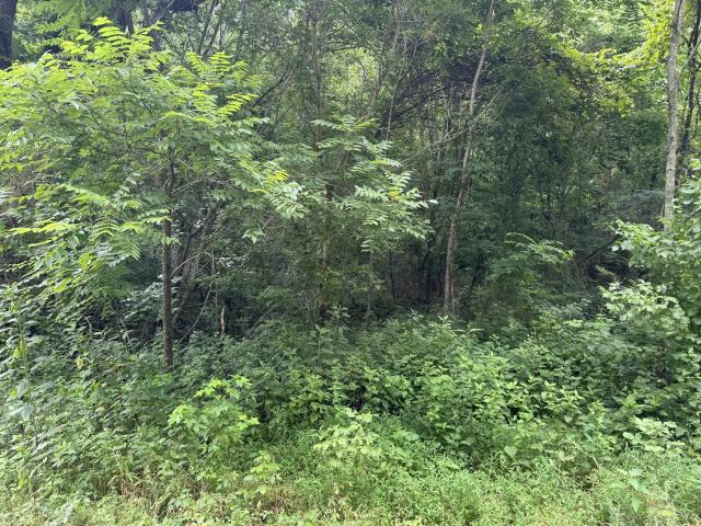 Land for sale in Tennessee