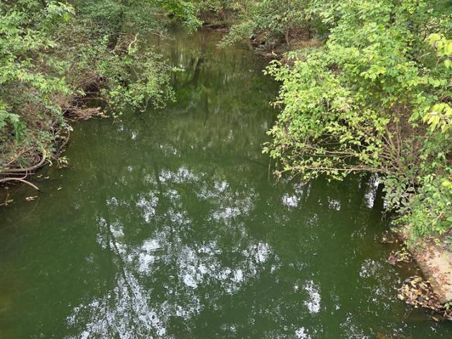 Land for sale in Smiths Grove, Barren County