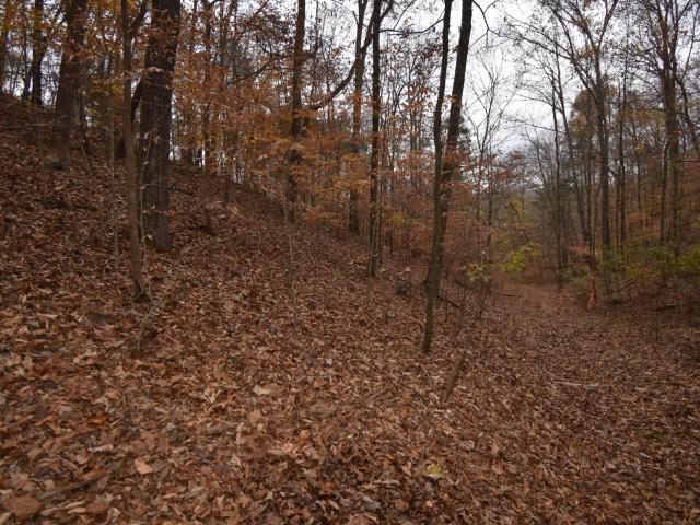 Land for sale in Tennessee