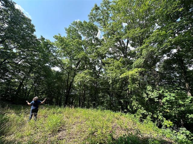 Land for sale in North Carolina