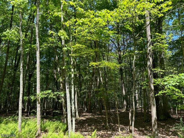 Land for sale in Layton, New Jersey