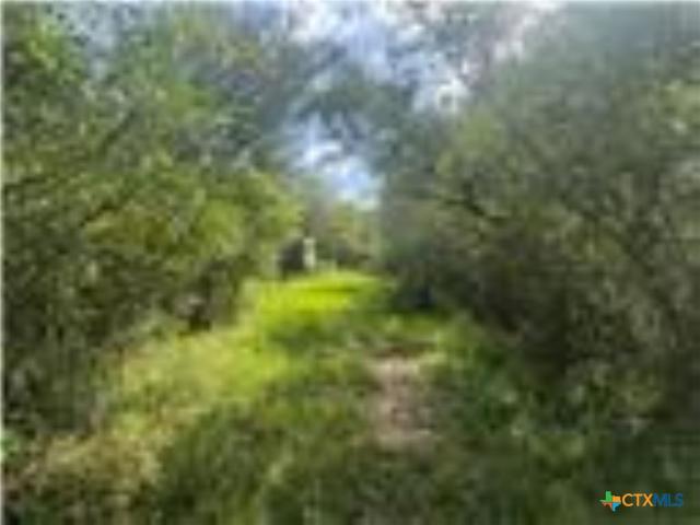 Farm for sale in Wharton, Texas