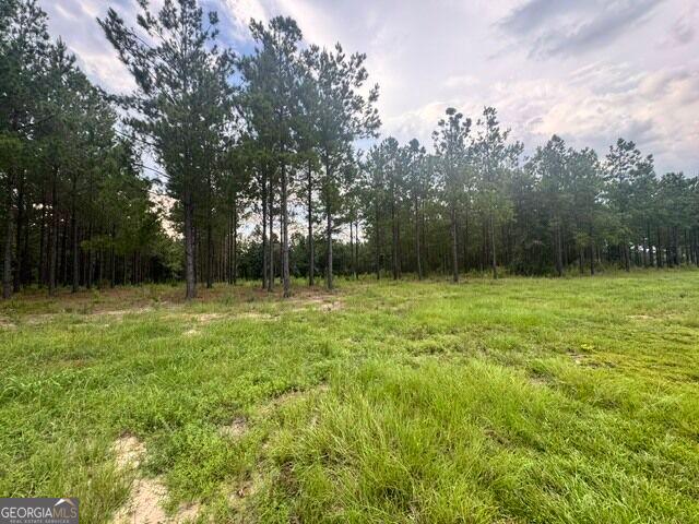 Land for sale in Dexter, Georgia