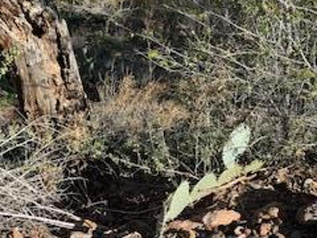 Land for sale in Jerome, Arizona