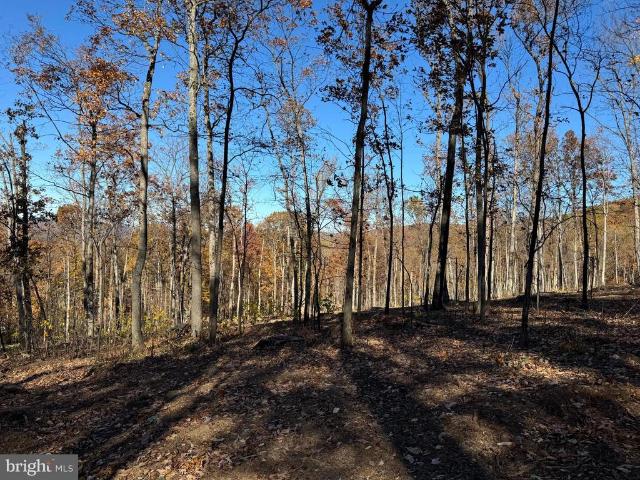 Land for sale in Virginia