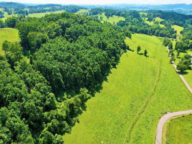 Land for sale in Virginia