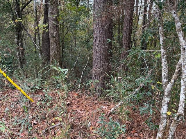 Property for sale in Polk, Texas