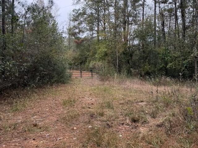 Land for sale in Polk, Texas
