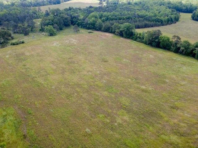 Land for sale in Cuthbert, Georgia