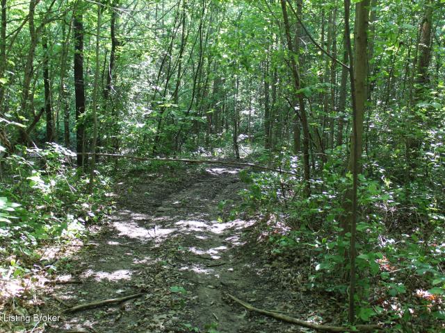 Land for sale in Drakesboro, Kentucky