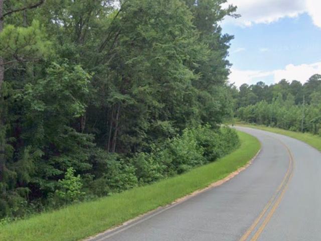 Land for sale in Roberta, Georgia