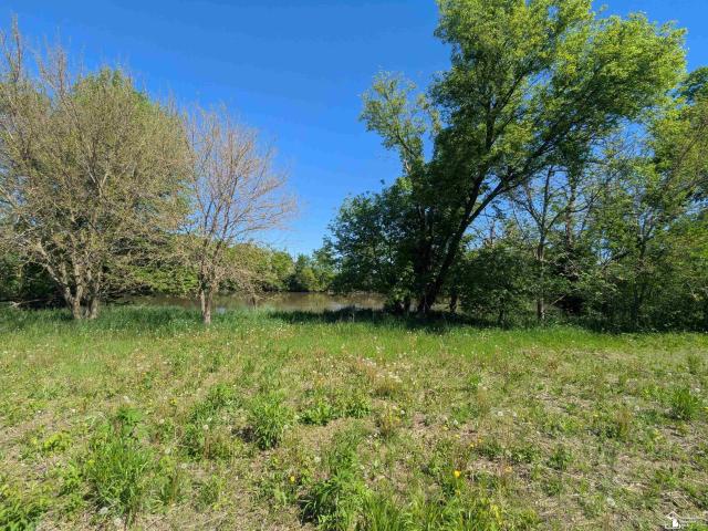 Land for sale in Dundee, Michigan