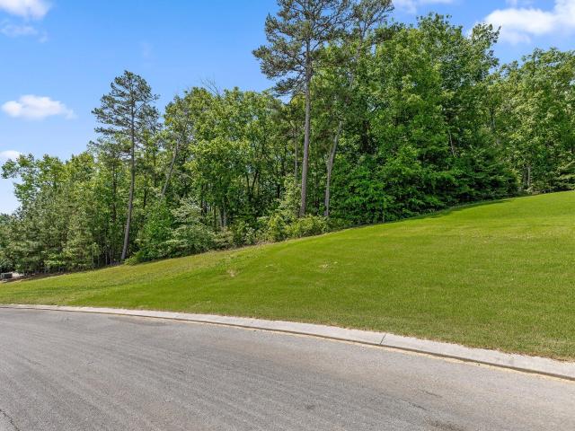 Land for sale in Tunnel Hill, Georgia