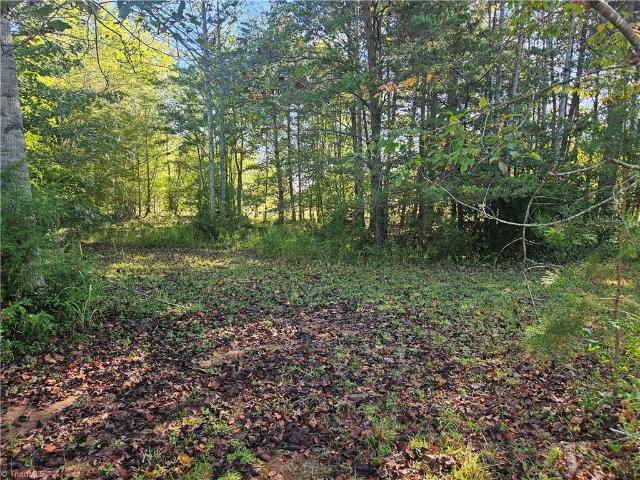 Property for sale in Stokes, North Carolina