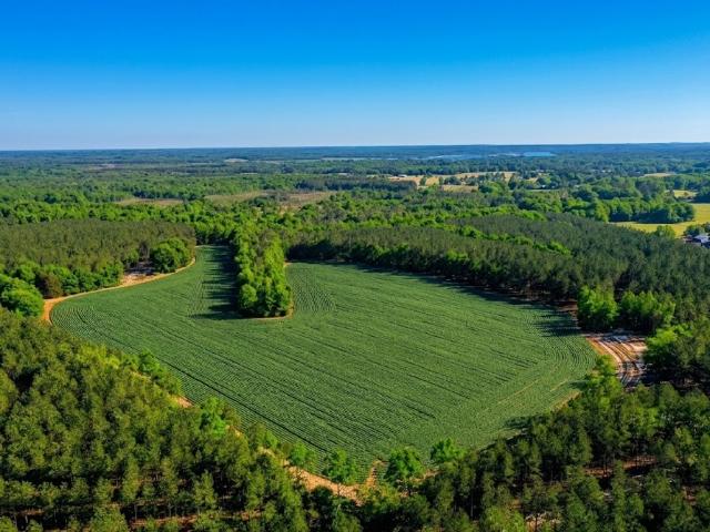 Land for sale in Tennessee
