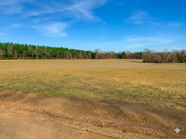 Land for sale in Tennessee