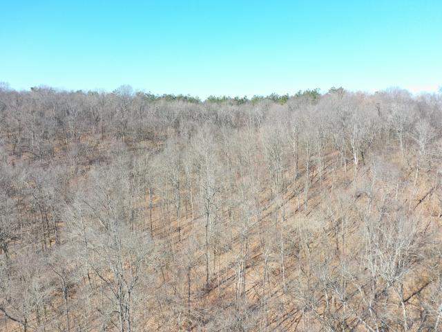 Land for sale in Tennessee
