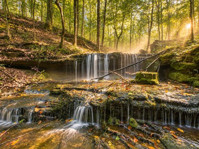 Land for sale in Primm Springs, Middle Tennessee