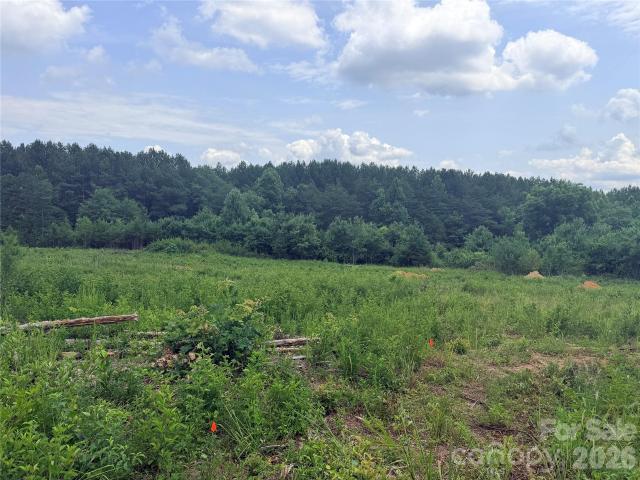 Land for sale in Rutherford, North Carolina