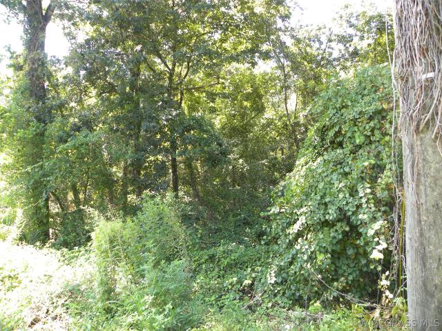 Land for sale in Ozark, Dale County