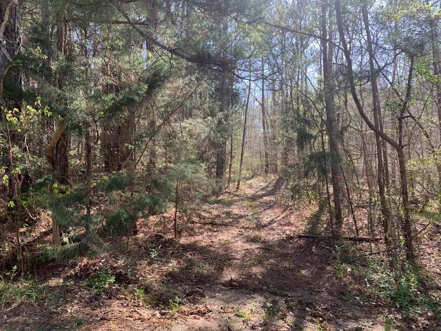 Land for sale in Abbeville, South Carolina