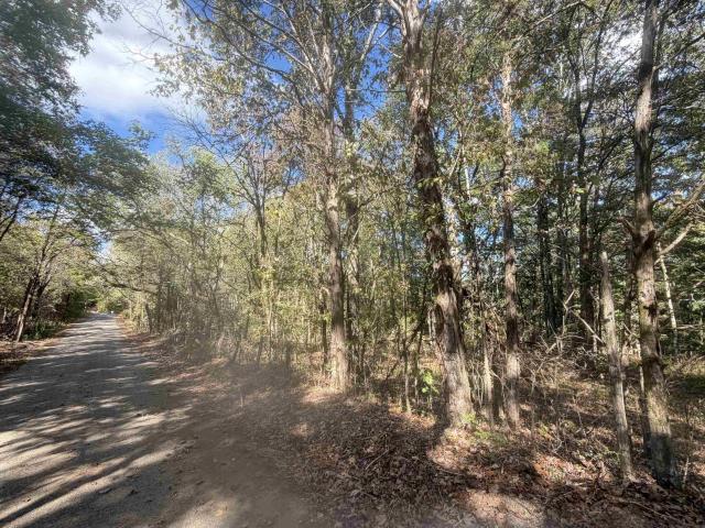 Land for sale in Clifton, Middle Tennessee