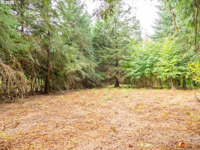 Land for sale in Aurora, Marion County