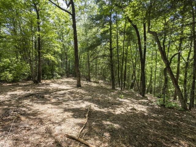 Land for sale in Murphy, Cherokee County