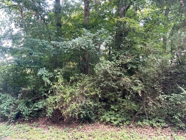 Land for sale in Phoenix Landing, Florence