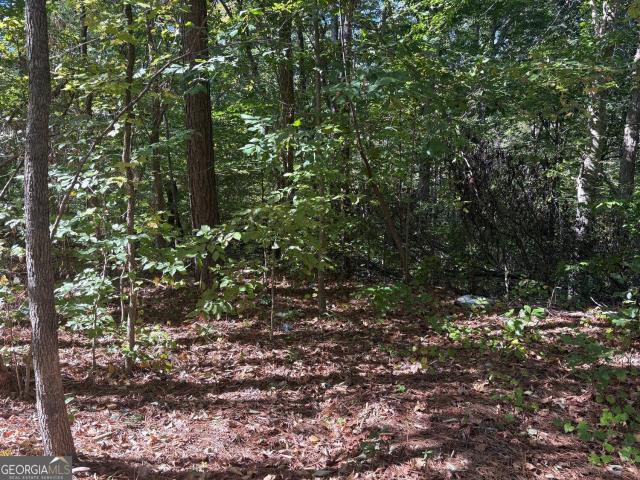 Land for sale in Old Chapel Hill, Douglasville