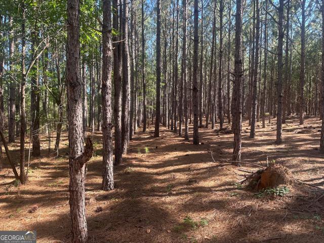 Land for sale in Screven, Georgia