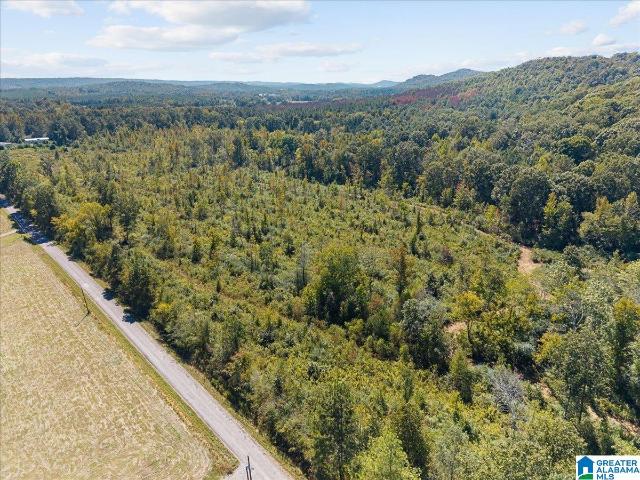 Land for sale in New Home, Oneonta