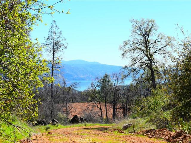 Land for sale in Butte, California